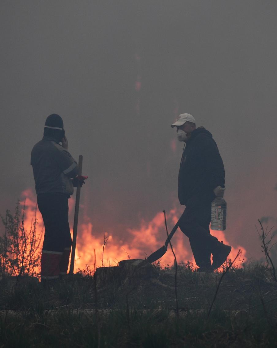 За сутки в России потушили 119 природных пожаров