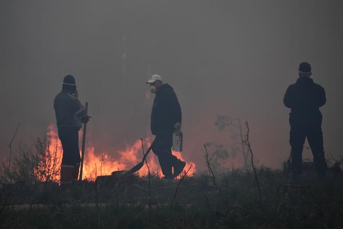 За сутки в России потушили 119 природных пожаров
