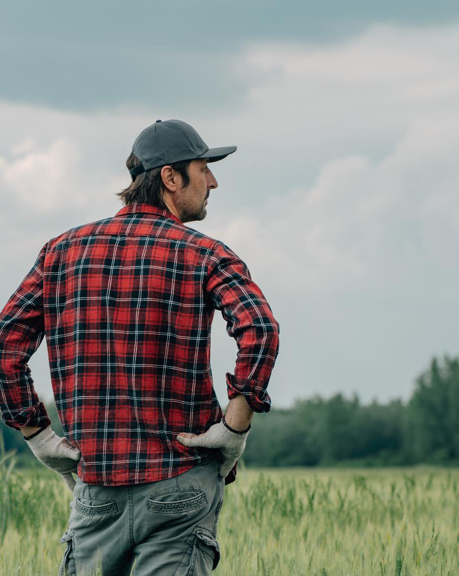 Американские экоактивисты смогут брать в аренду федеральные земли для их восстановления