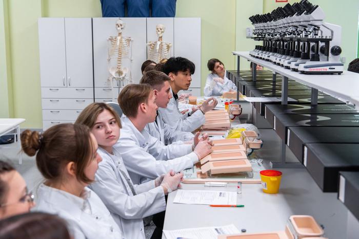 Аналитики подсчитали, что школьники всё чаще выбирают колледжи. Выясняем, почему так происходит