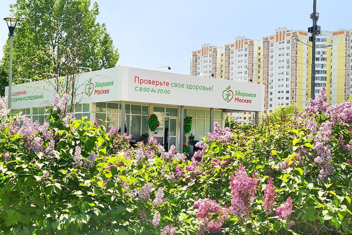 Здоровая Москва: как быстро и бесплатно проверить здоровье на прогулке