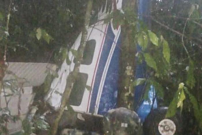 Живы или нет? Поиски детей в Колумбии продолжаются. В начале мая там упал самолёт, но их тел на месте крушения не оказалось