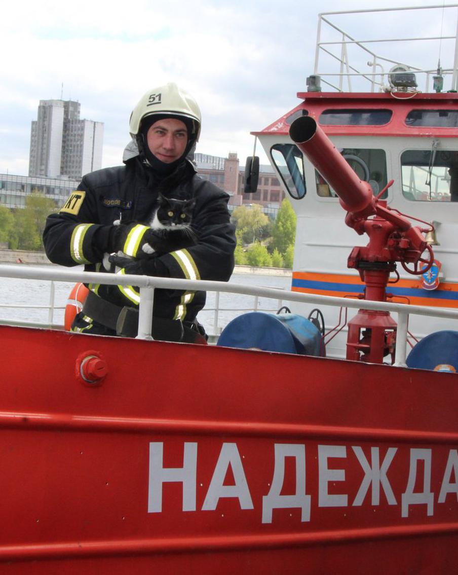 Бусинка и Толик несут службу в рядах московских пожарных: недавно коты вступили в спецотряд "Семёнычи"