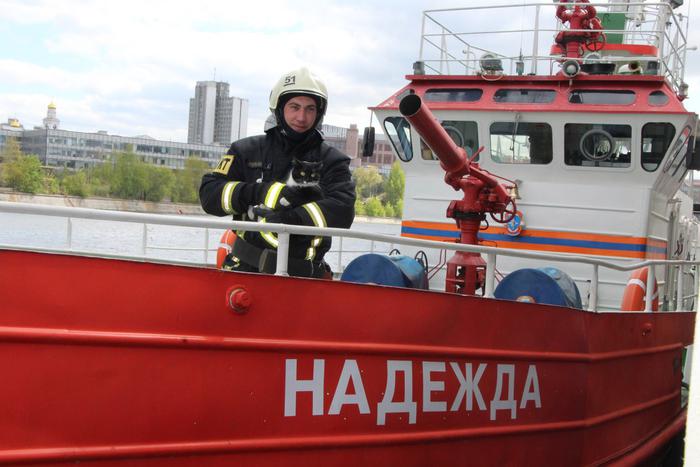 Бусинка и Толик несут службу в рядах московских пожарных: недавно коты вступили в спецотряд "Семёнычи"