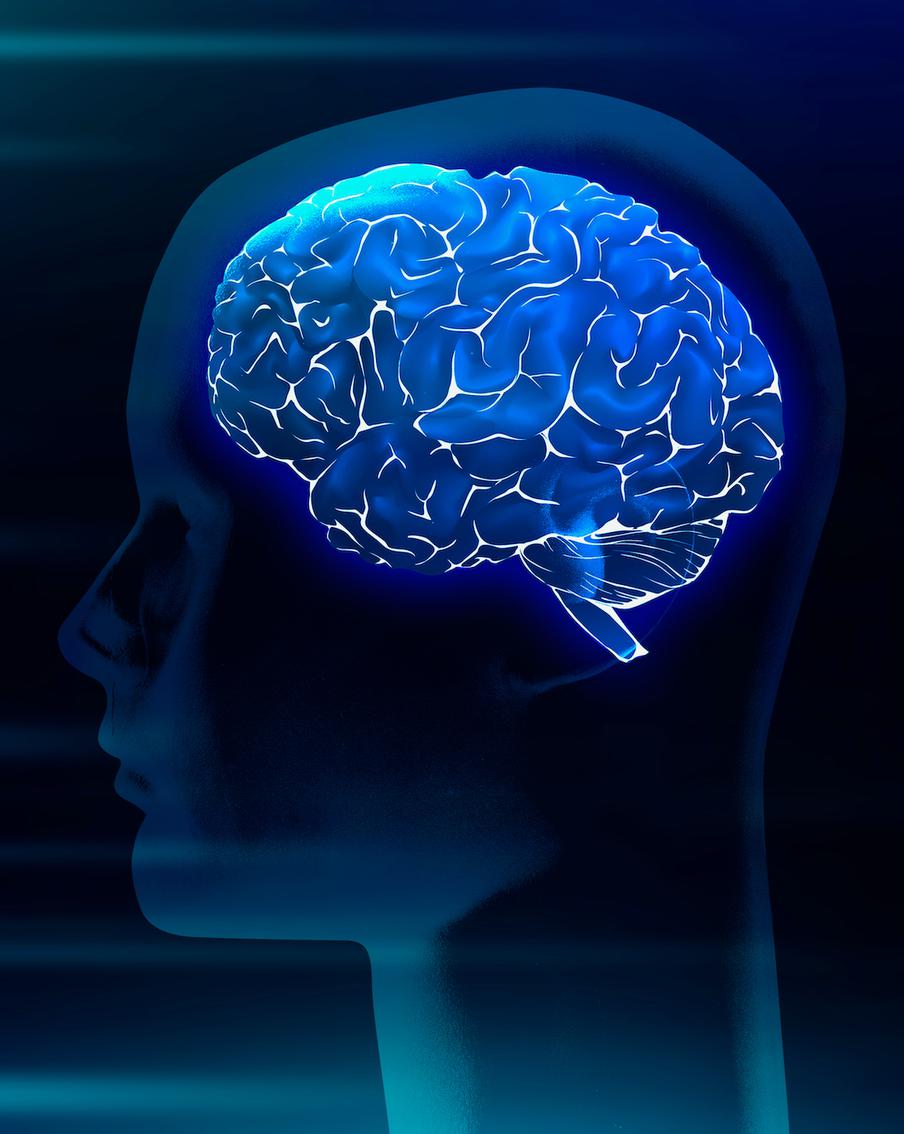 Учёные выяснили, что пластик может добираться до мозга человека. Metro разбирается в новом исследовании вместе с экспертами