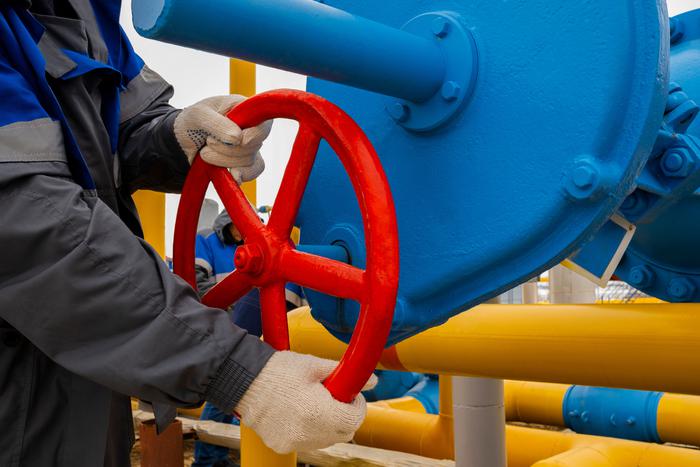Россия и Белоруссия вошли в число лидеров по газу