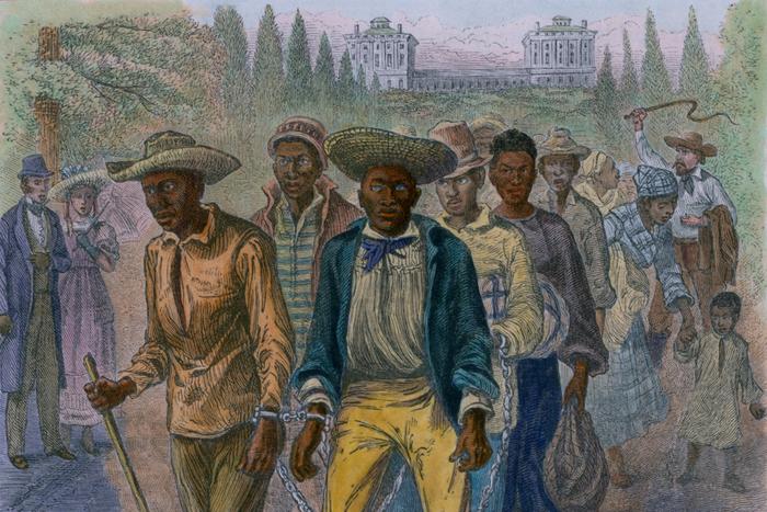 Генетики узнали о людях из некрополя первых колоний в Северной Америке