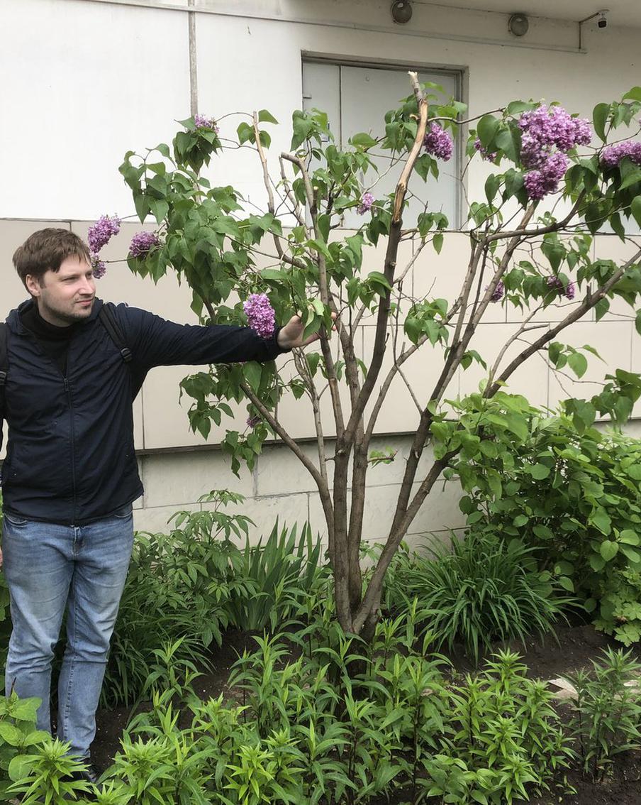 Цветочных воров выдал красный скотч. Откуда сирень на Рижском рынке