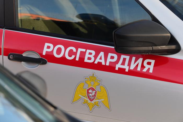 Из украинского плена вернули росгвардейцев