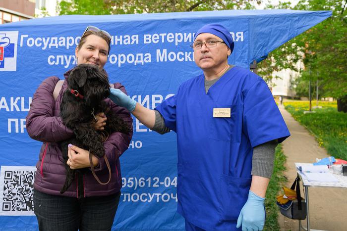 Жители столицы получили возможность привить своих животных абсолютно бесплатно