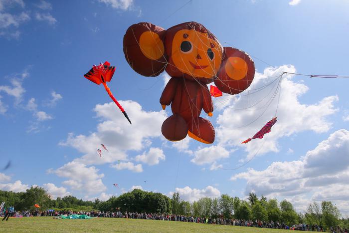 "Нет ветра – нет змеев": погода помешала киту, но не сломила Чебурашку