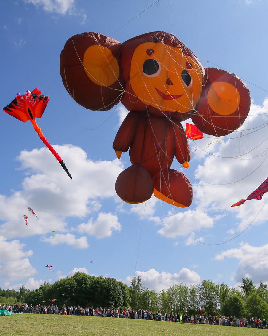 "Нет ветра – нет змеев": погода помешала киту, но не сломила Чебурашку