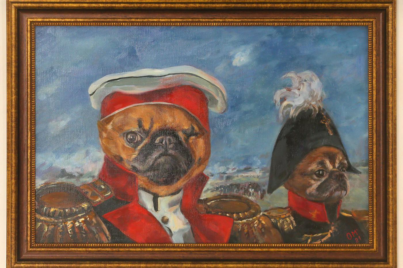 Животных переодели и сфотографировали. Получилось очень похоже на людей