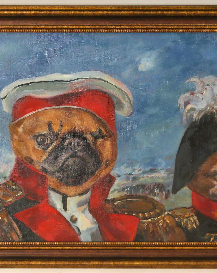 Животных переодели и сфотографировали. Получилось очень похоже на людей