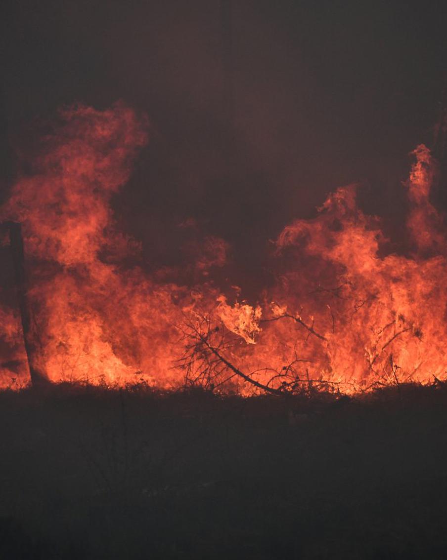 В Авиалесоохране сообщили, сколько пожаров потушили за сутки в стране