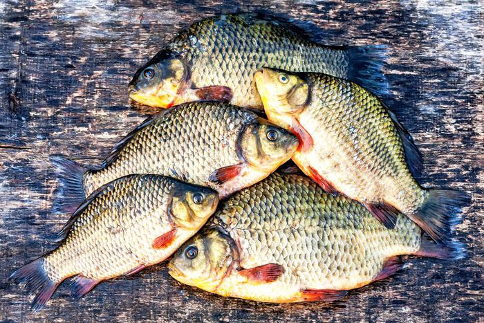 Под Тюменью полиция задержала пенсионерку с наркотиками