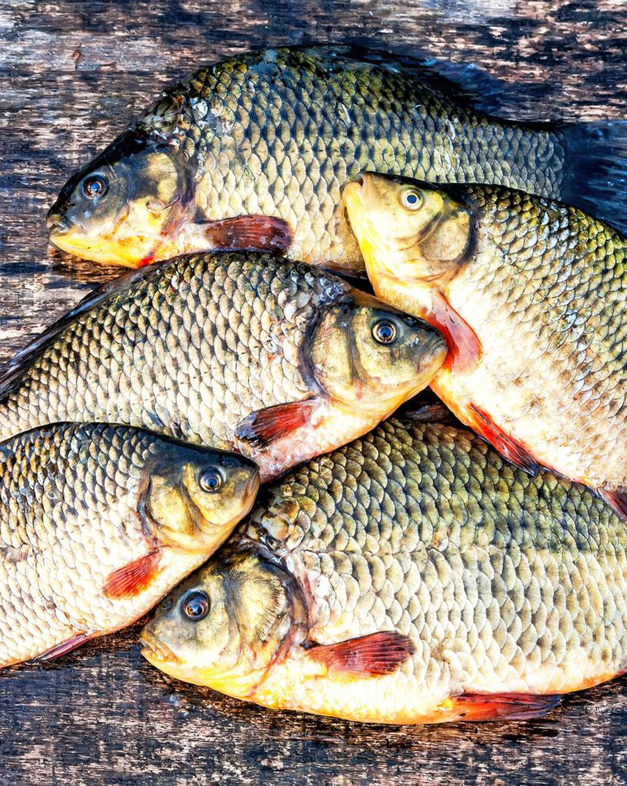 Под Тюменью полиция задержала пенсионерку с наркотиками