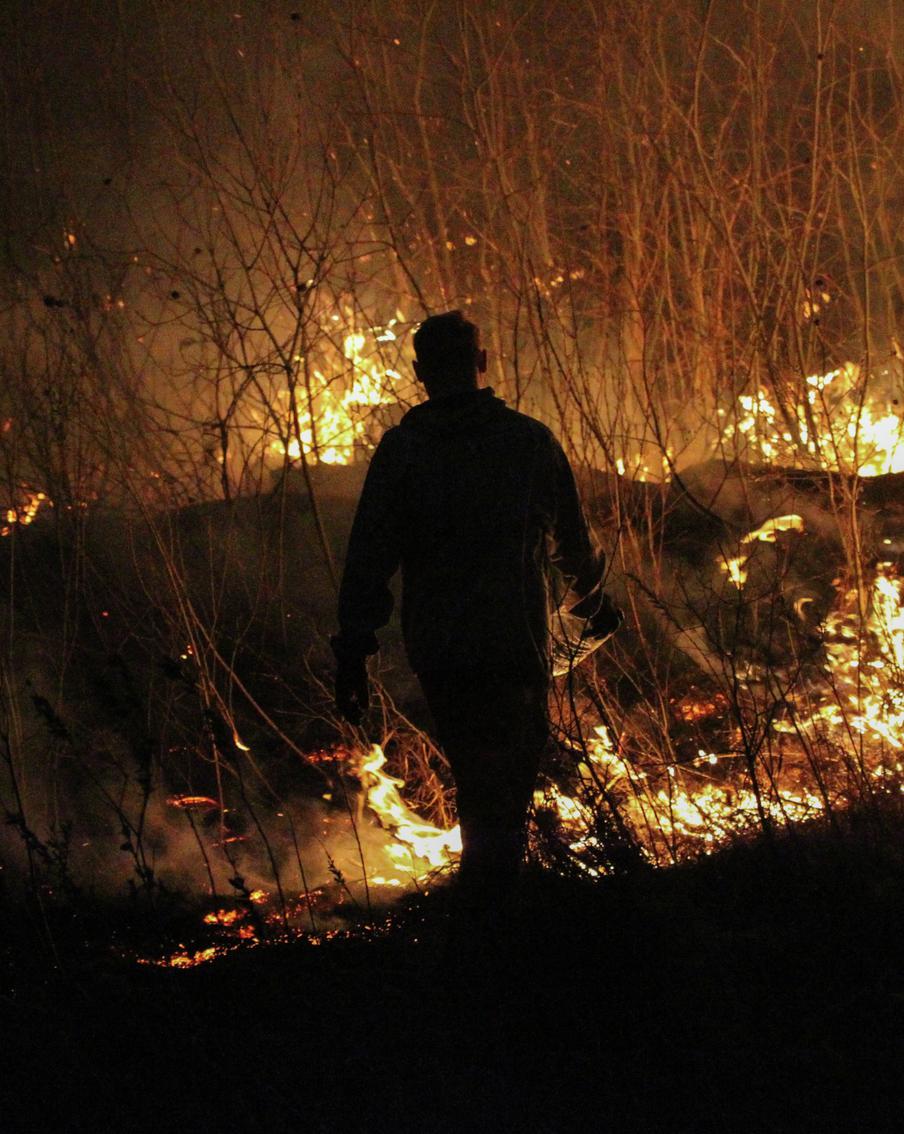 В "Авиалесоохране" рассказали о потушенных за сутки пожарах