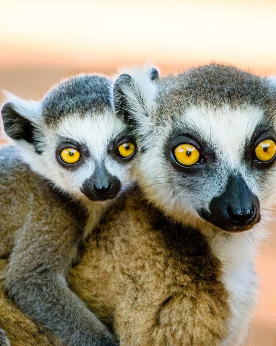 В Московском зоопарке родилось новое пополнение обитателей