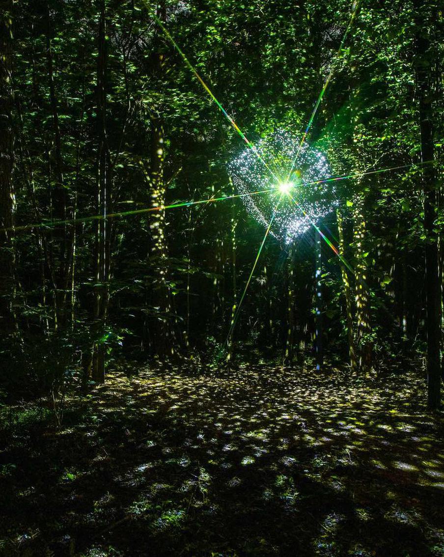 Квадрат Малевича преобразился в звёздный куб, а обычные деревья – в супрематические в подмосковном парке