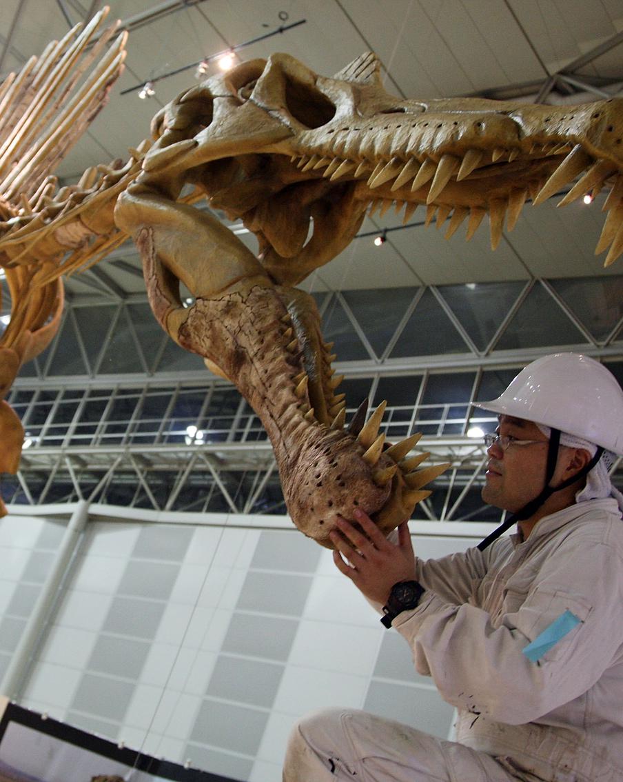 Динозавр динозавру рознь: в Великобритании открыли новый подвид спинозавра