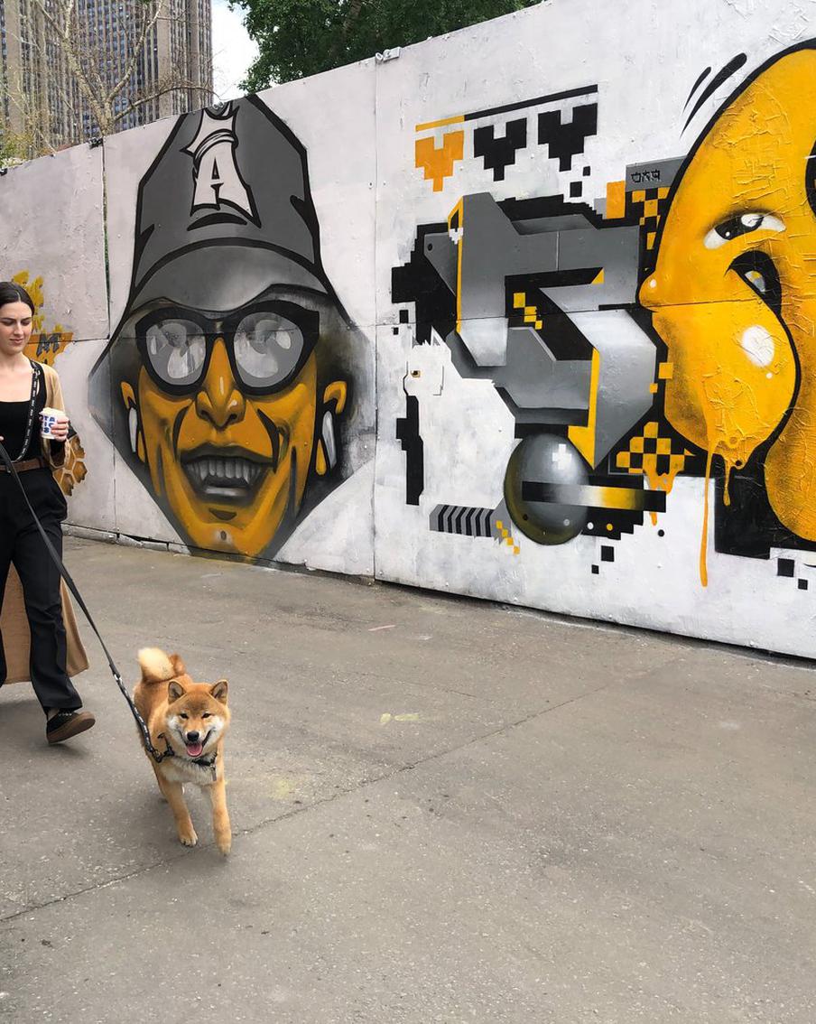 На жёлто-чёрной стене поселились пчеловод, "китаец" и кот из нейросети