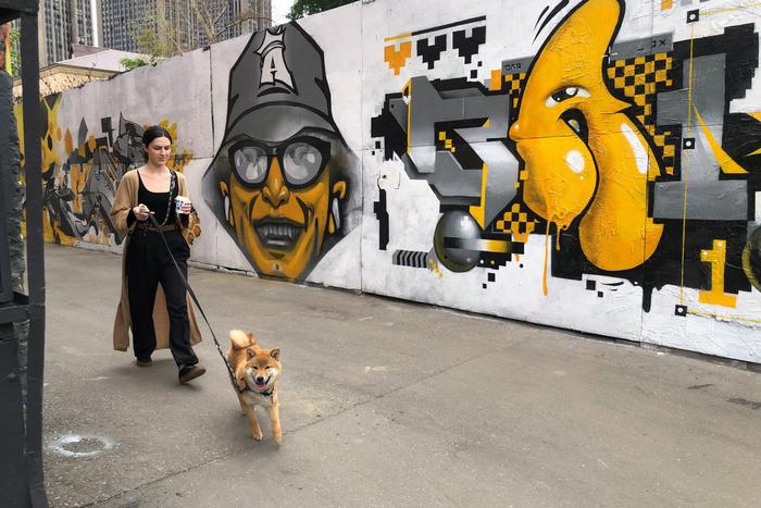 На жёлто-чёрной стене поселились пчеловод, "китаец" и кот из нейросети