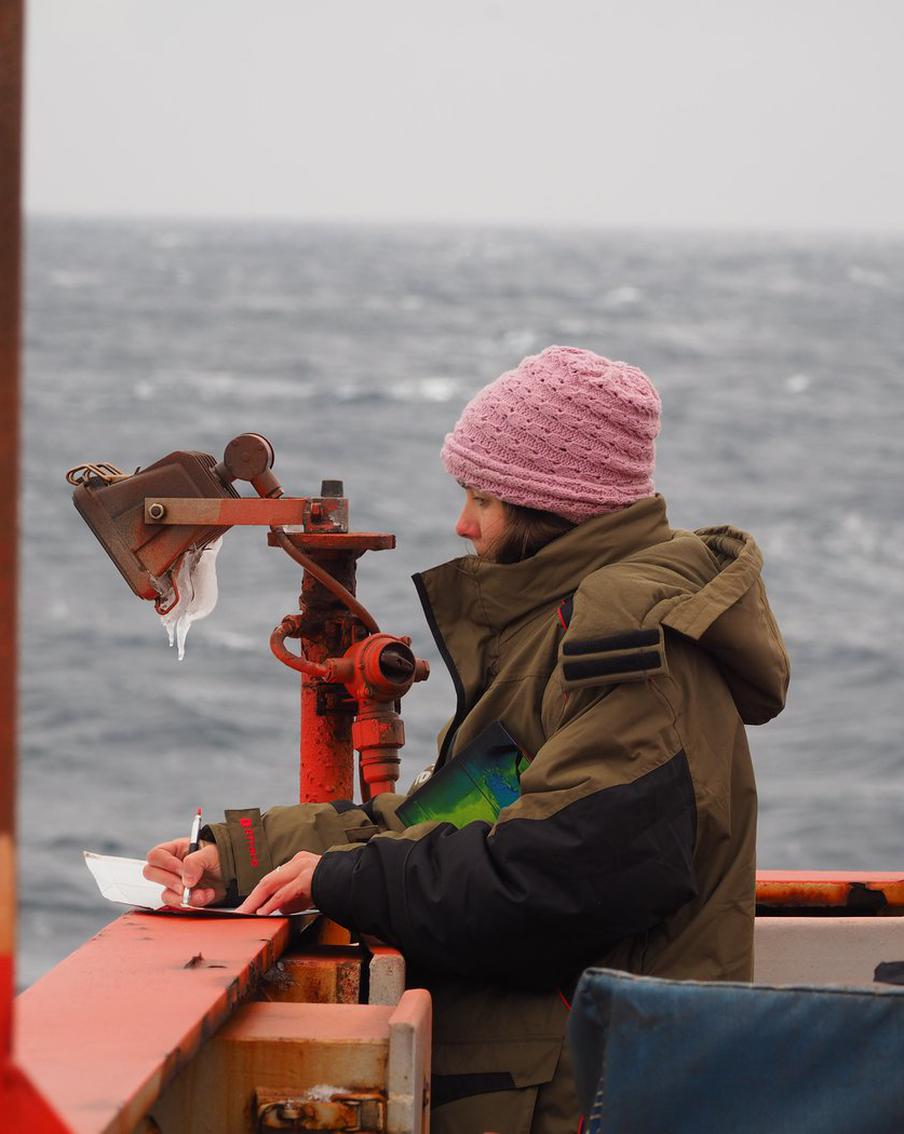 "Океан похож на слоёный пирог". Зачем художница изучает берега Антарктиды