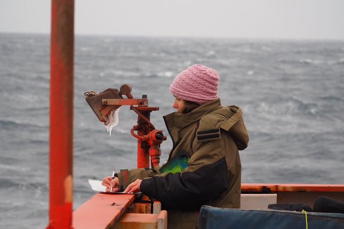"Океан похож на слоёный пирог". Зачем художница изучает берега Антарктиды