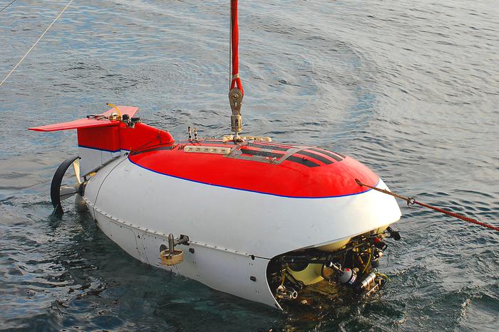 Австралийские океанологи обнаружили необычный одноклеточный организм