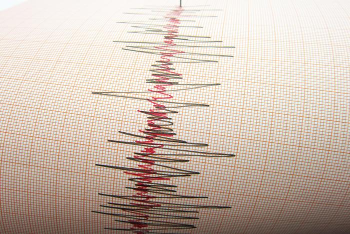 МЧС Камчатки: в Камчатском заливе зафиксировали ещё два землетрясения