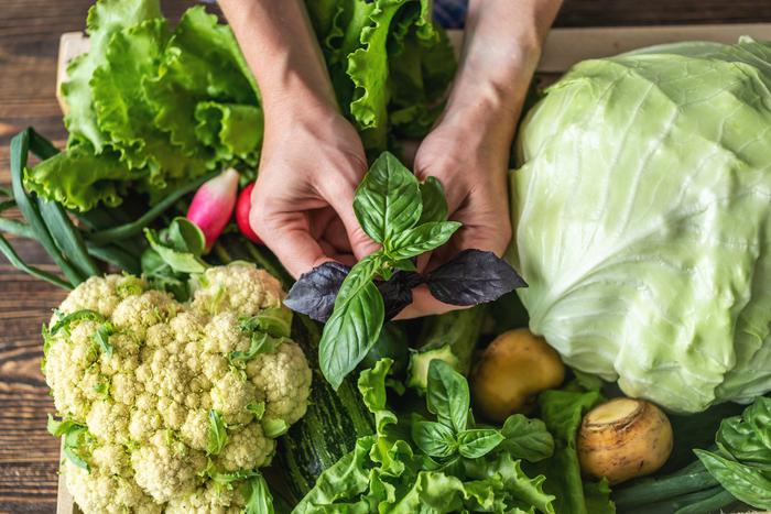 Разнообразная зелень не просто украсит салаты, но и сделает их лёгкими, полезными и вкусными