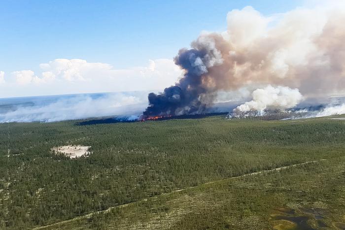 "Авиалесоохрана" рассказала о потушенных за сутки природных пожарах