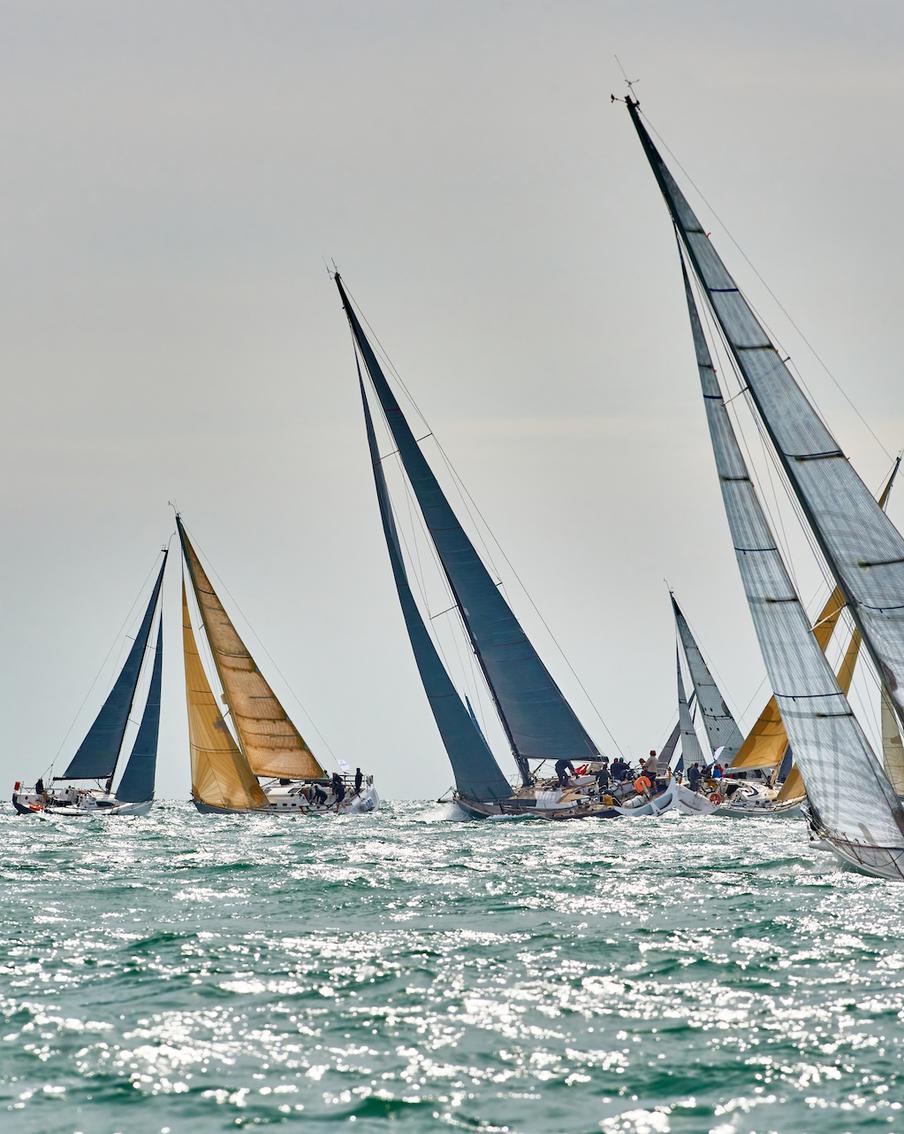 Праздничная регата пройдёт в Подмосковье: она состоится сегодня и завтра на Истринском водохранилище