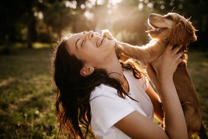 Учёные назвали 5 факторов, которые продлят жизнь собаки: главное – уделять время и внимание своему питомцу