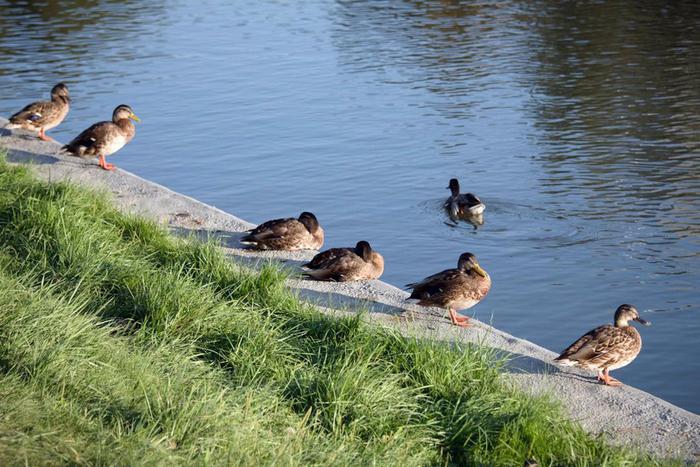 Вместо складов и пустырей бывшей промзоны в Зюзино и Лефортово появятся жилые дома