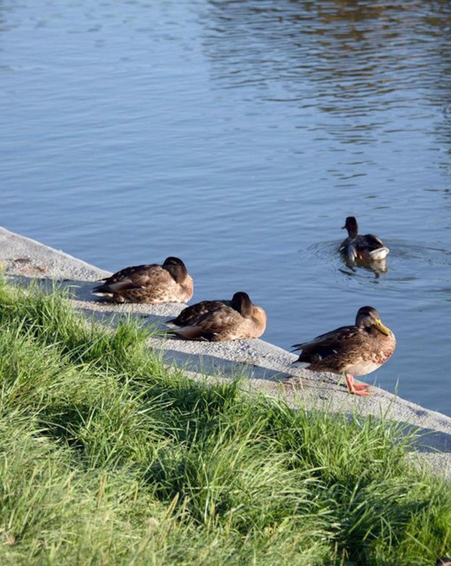 Вместо складов и пустырей бывшей промзоны в Зюзино и Лефортово появятся жилые дома
