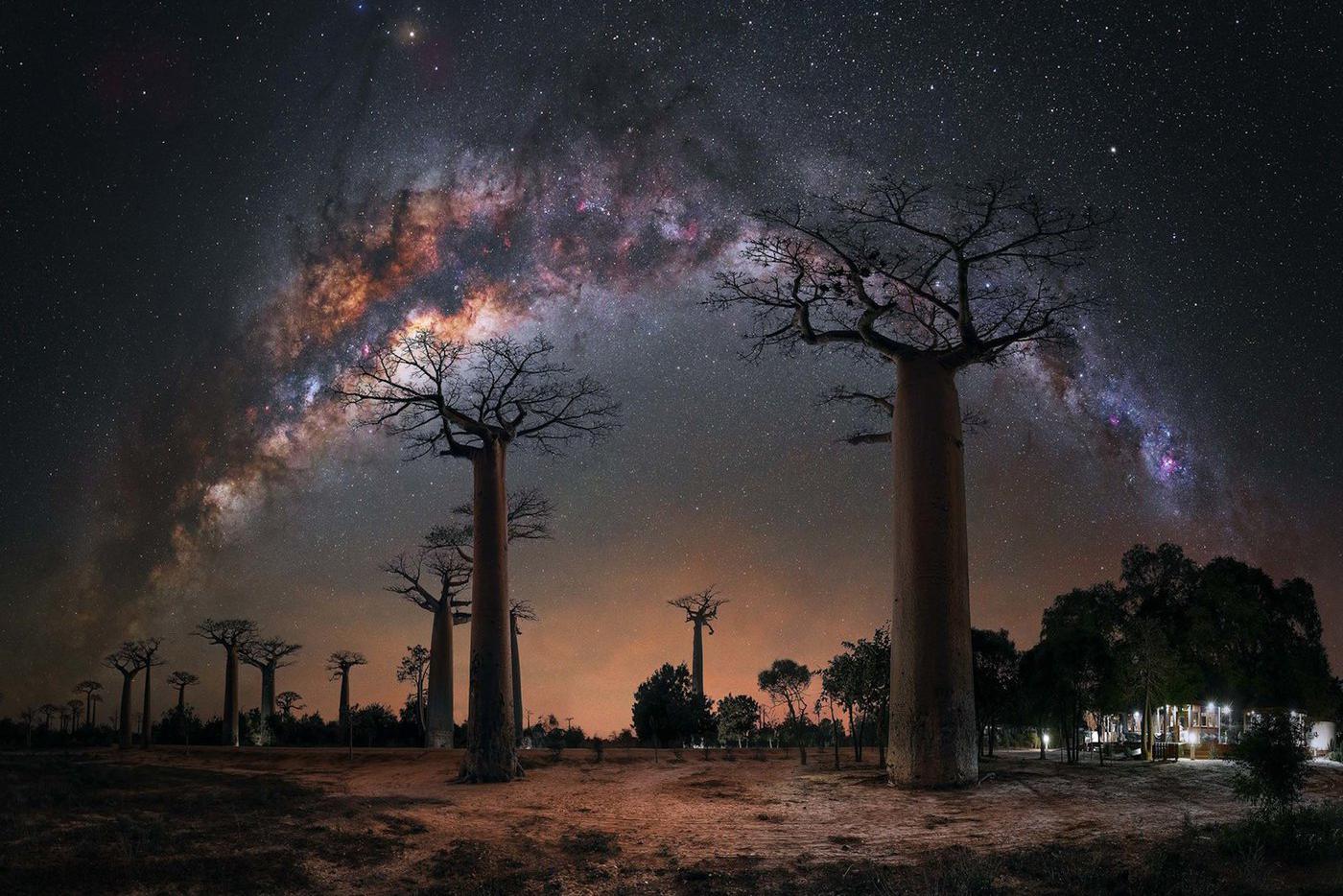 "Ночь под баобабами"Этот захватывающий астрофизический пейзаж был запечатлён на Баобаб-авеню – полосе баобабов на острове Мадагаскар. "Астропейзажная панорама с Мадагаскара. Здесь вы видите полную дугу Млечного Пути над внушительными баобабами", – объясняет фотограф Штеффи Либерман