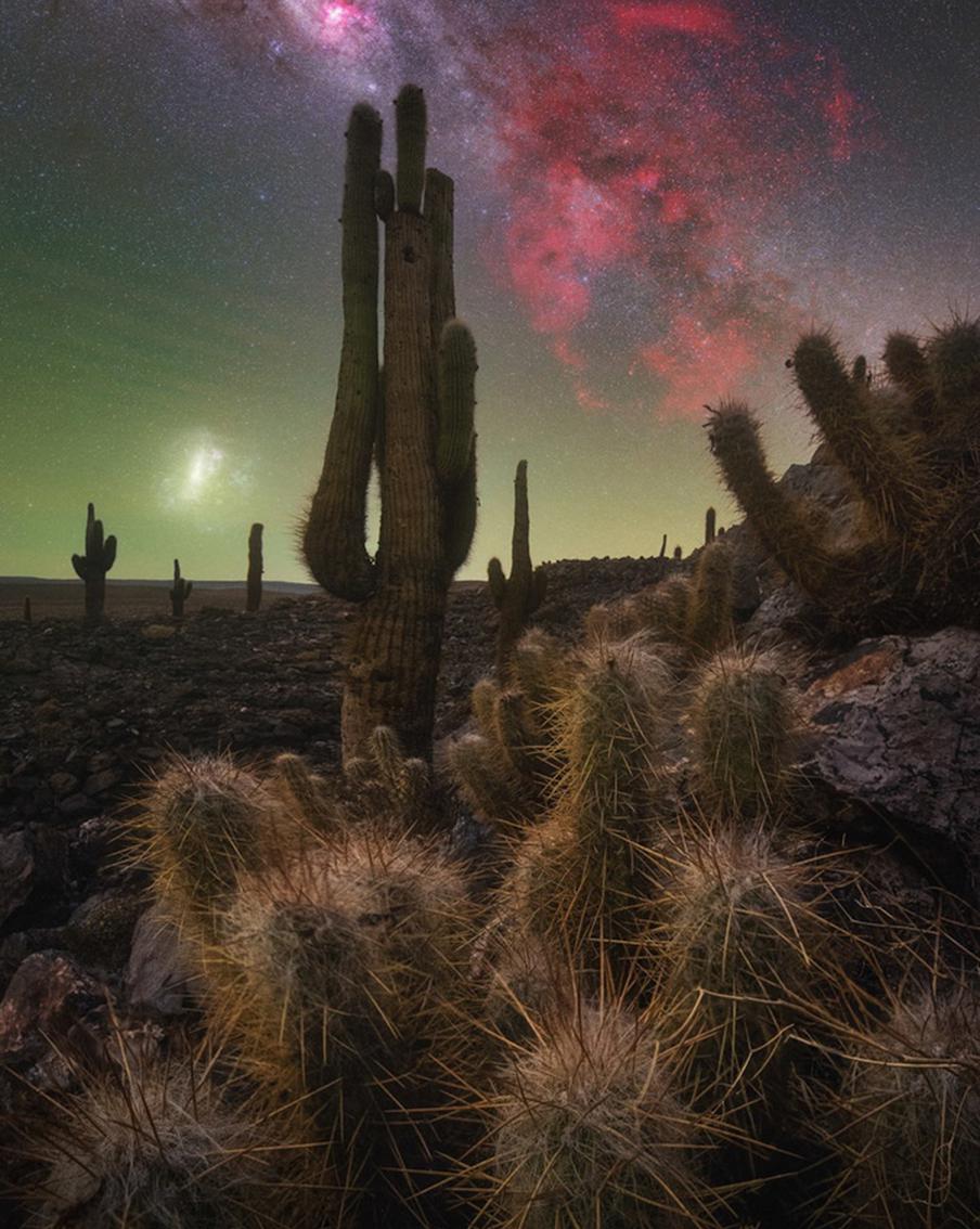 "Долина кактусов"Этот снимок был сделан в чилийской пустыне Атакама. Это место фотограф Пабло Руис Гарсия назвал одним из самых впечатляющих на планете: "Это была моя первая поездка, чтобы сфотографировать Млечный Путь в Южном полушарии. Я выбрал пустыню Атакама – одно из самых крутых и умопомрачительных мест на планете, где можно увидеть ночное небо".