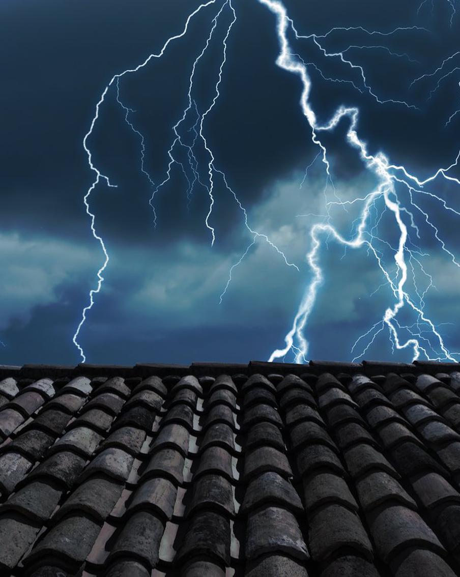 Во Франции удар молнии убил большое количество коров