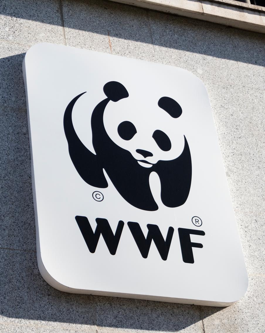 Всемирный фонд дикой природы* вне закона: по решению Генпрокуратуры его деятельность признана нежелательной