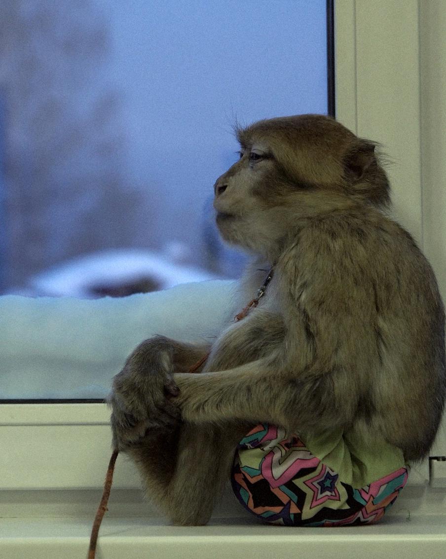 Юная монахиня, сибирские циркачи и фотограф-медиум: Metro рассказывает, про кого покажут фильмы на фестивале "Докер"