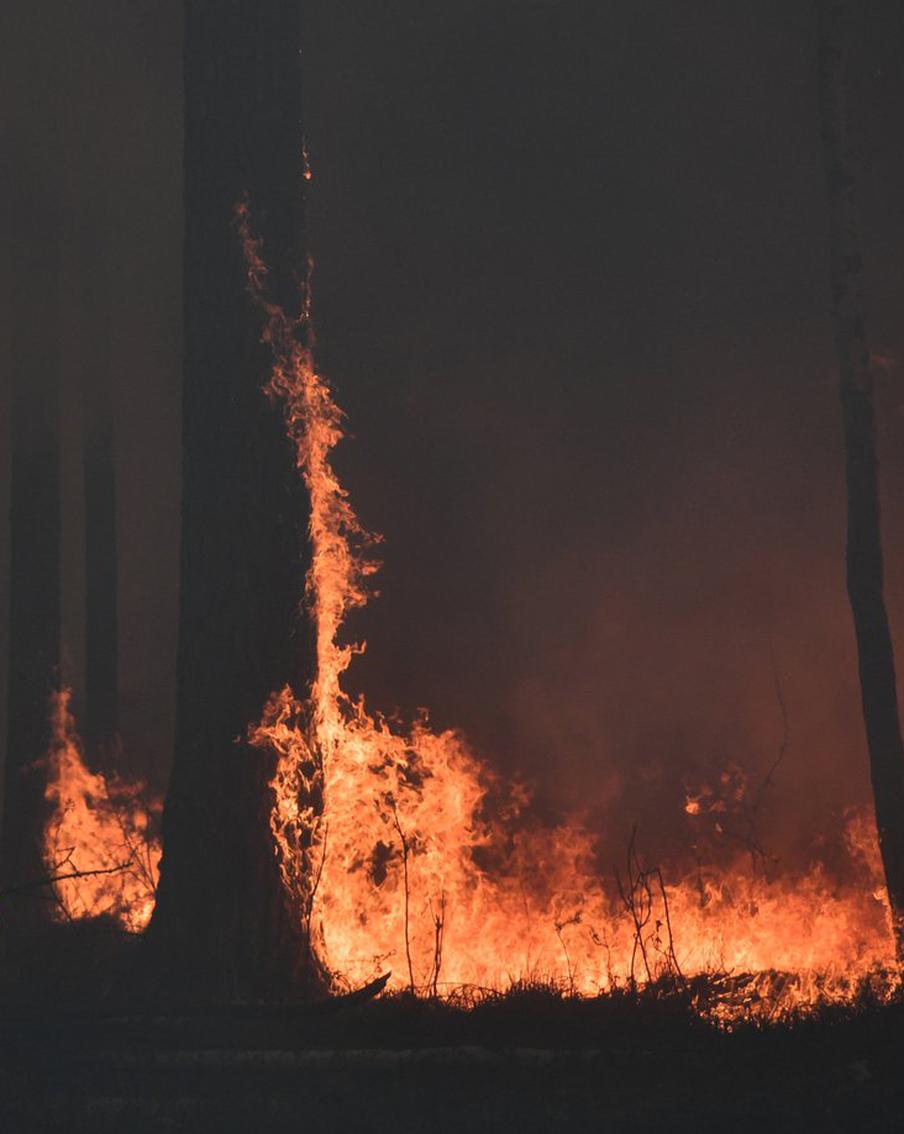На севере Хабаровского края ввели режим ЧС