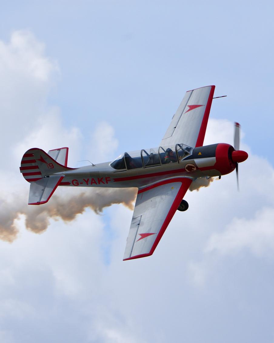 В Подмосковье разбился Як-52: пилот и пассажир погибли