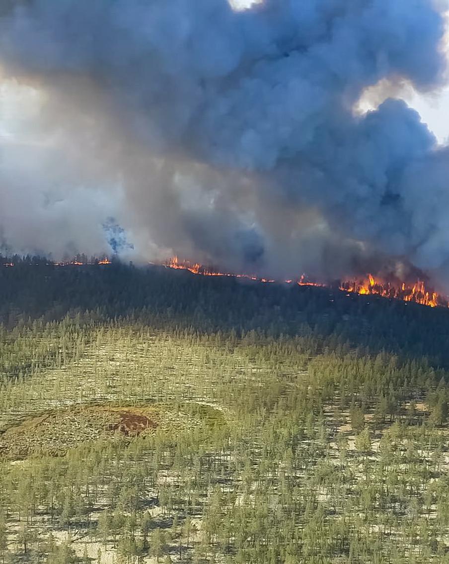 В Хабаровском крае бушуют четыре лесных пожара