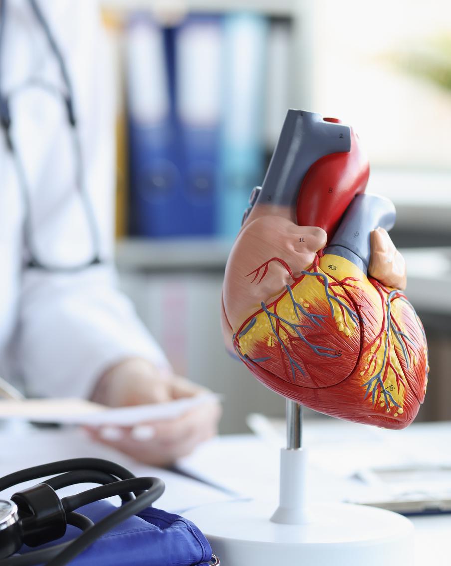 Медики рассказали о первых в истории случаях самоизлечения от смертельной болезни сердца