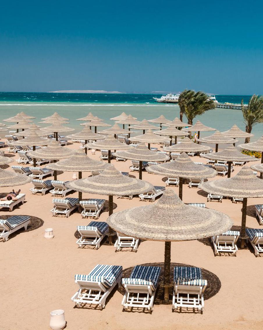 На курортах Египта стали снимать сетки, защищающие туристов от акул