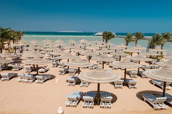 На курортах Египта стали снимать сетки, защищающие туристов от акул