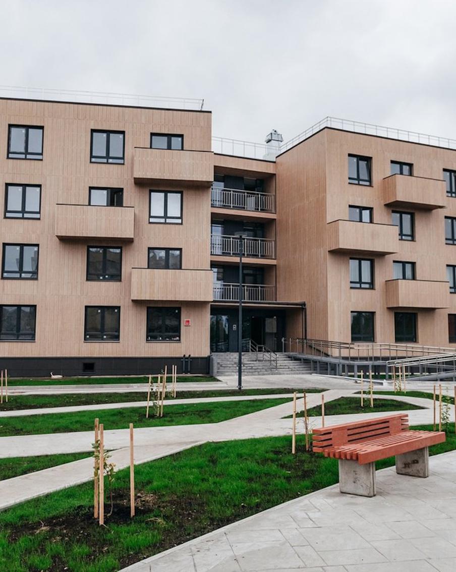 Деревянное счастье: в России построят высотки из ели