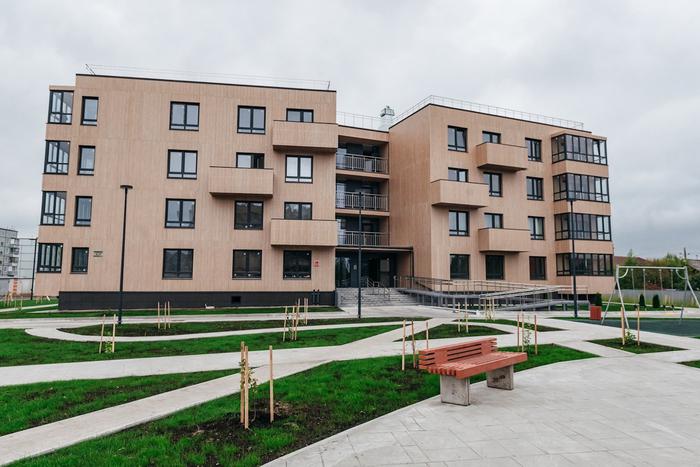 Деревянное счастье: в России построят высотки из ели